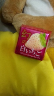 ���̔��C�`�S