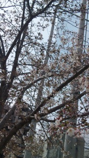(untitled)
