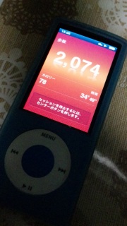 iPod�̖����v�@�\
