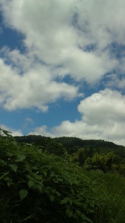 (untitled)