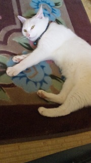 �˂ނ˂�